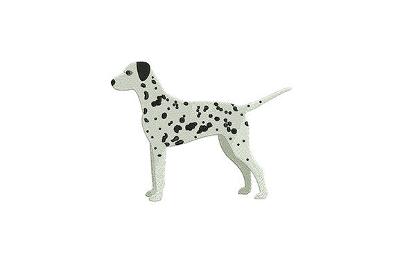 Dalmatian Dog Embroidery: A Designer’s Review for Boutique Sweatshirts