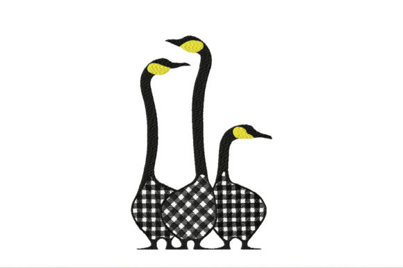Farm Black and White Geese: A Designer’s Review