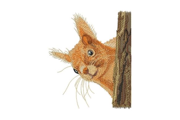Squirrel Embroidery Design Review for Personalized Gifts